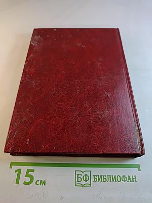 Самак-айяр или Деяния и подвиги красавицы айяров Самака, что царям служил, их дела вершил, был смел да умен. Книга 2