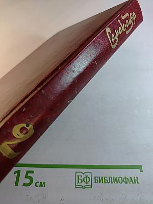 Самак-айяр или Деяния и подвиги красавицы айяров Самака, что царям служил, их дела вершил, был смел да умен. Книга 2