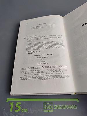 Амур широкий. Книга 2: Белая тишина