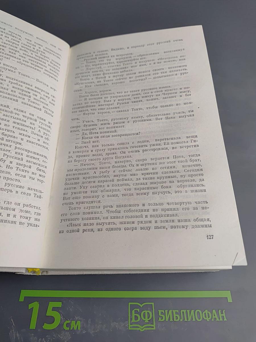 Амур широкий. Книга 2: Белая тишина