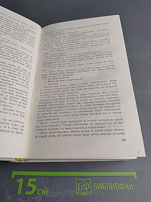 Амур широкий. Книга 2: Белая тишина