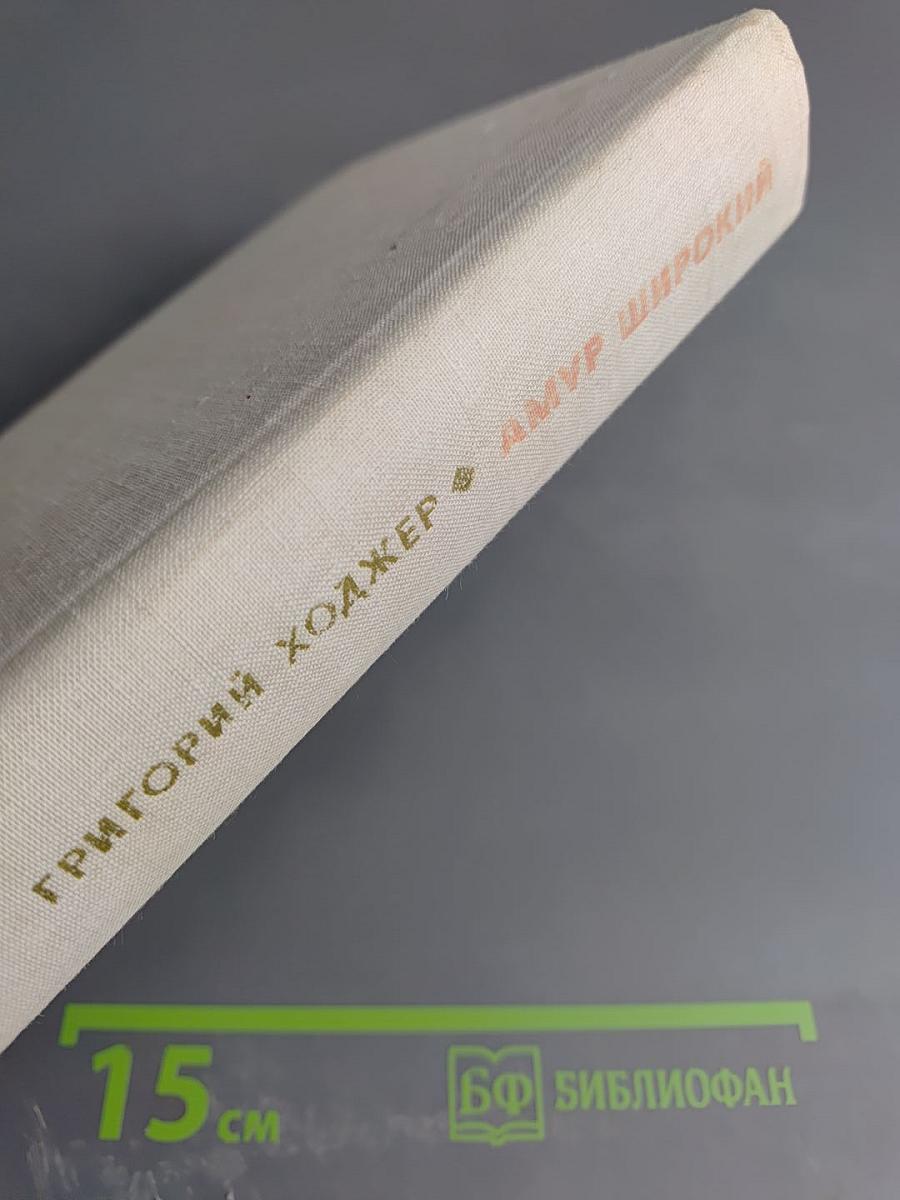 Амур широкий. Книга 2: Белая тишина