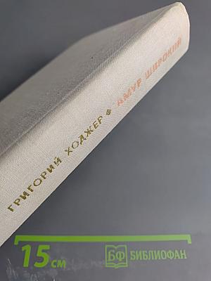 Амур широкий. Книга 2: Белая тишина