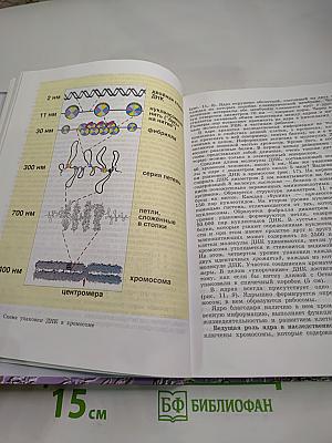 Общая биология. 10-11 классы