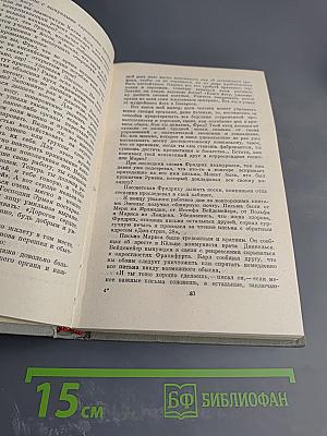 Прометей. Похищение огня. Книга вторая