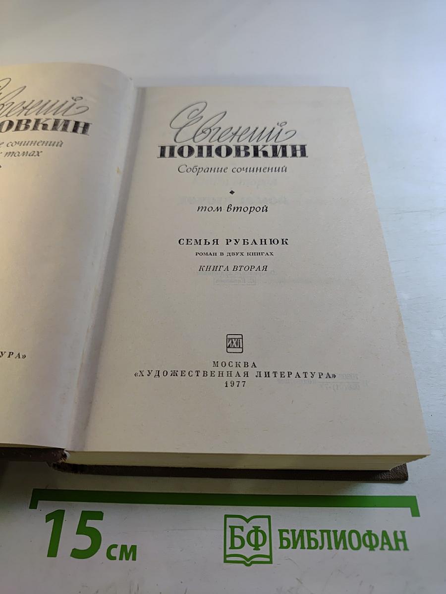 Семья Рубанюк. Книга вторая: Дорога домой