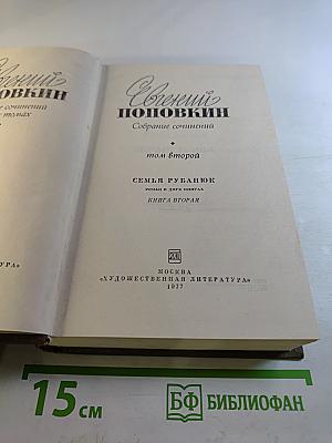 Семья Рубанюк. Книга вторая: Дорога домой