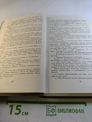 Семья Рубанюк. Книга вторая: Дорога домой