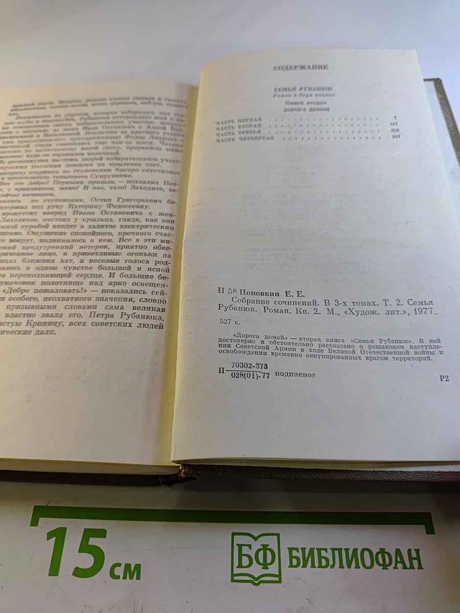 Семья Рубанюк. Книга вторая: Дорога домой