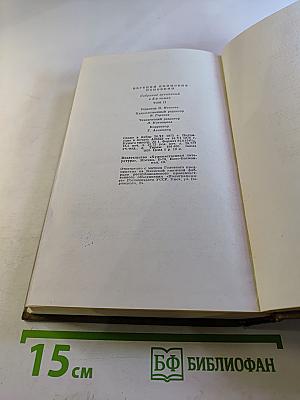 Семья Рубанюк. Книга вторая: Дорога домой