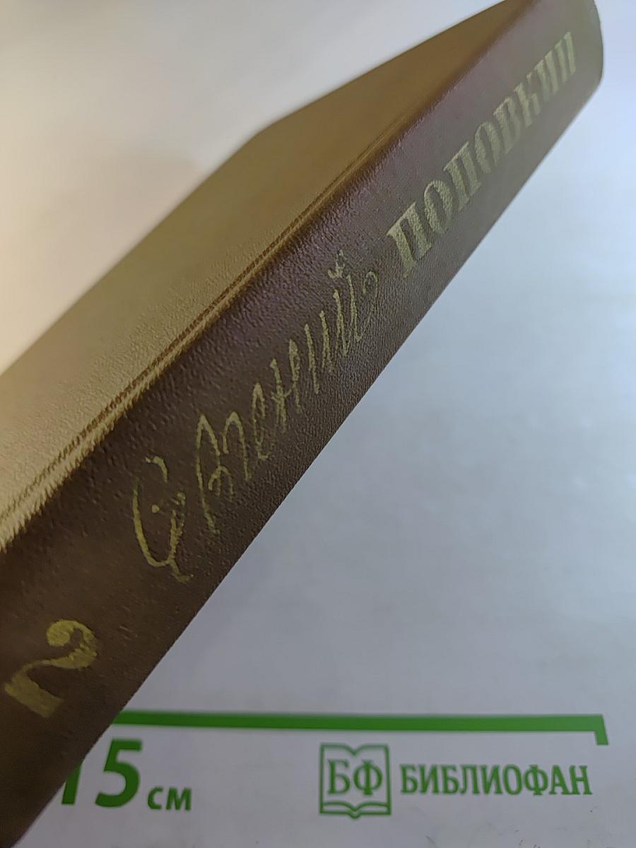 Семья Рубанюк. Книга вторая: Дорога домой