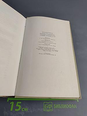 В.Г. Короленко. Собрание сочинений. Том десятый. Письма 1879-1921
