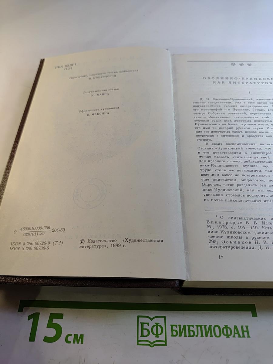 Литературно-критические работы в двух томах. Том первый. Статьи по теории литературы, Гоголь, Пушкин, Тургенев, Чехов