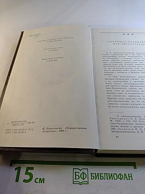 Литературно-критические работы в двух томах. Том первый. Статьи по теории литературы, Гоголь, Пушкин, Тургенев, Чехов