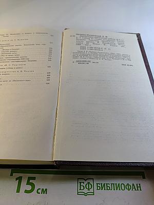 Литературно-критические работы в двух томах. Том первый. Статьи по теории литературы, Гоголь, Пушкин, Тургенев, Чехов