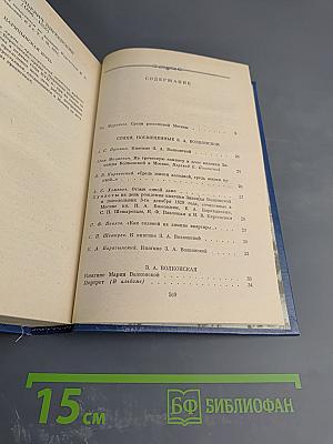 В Царстве Муз: Московский литературный салон Зинаиды Волконской 1824-1829 гг.