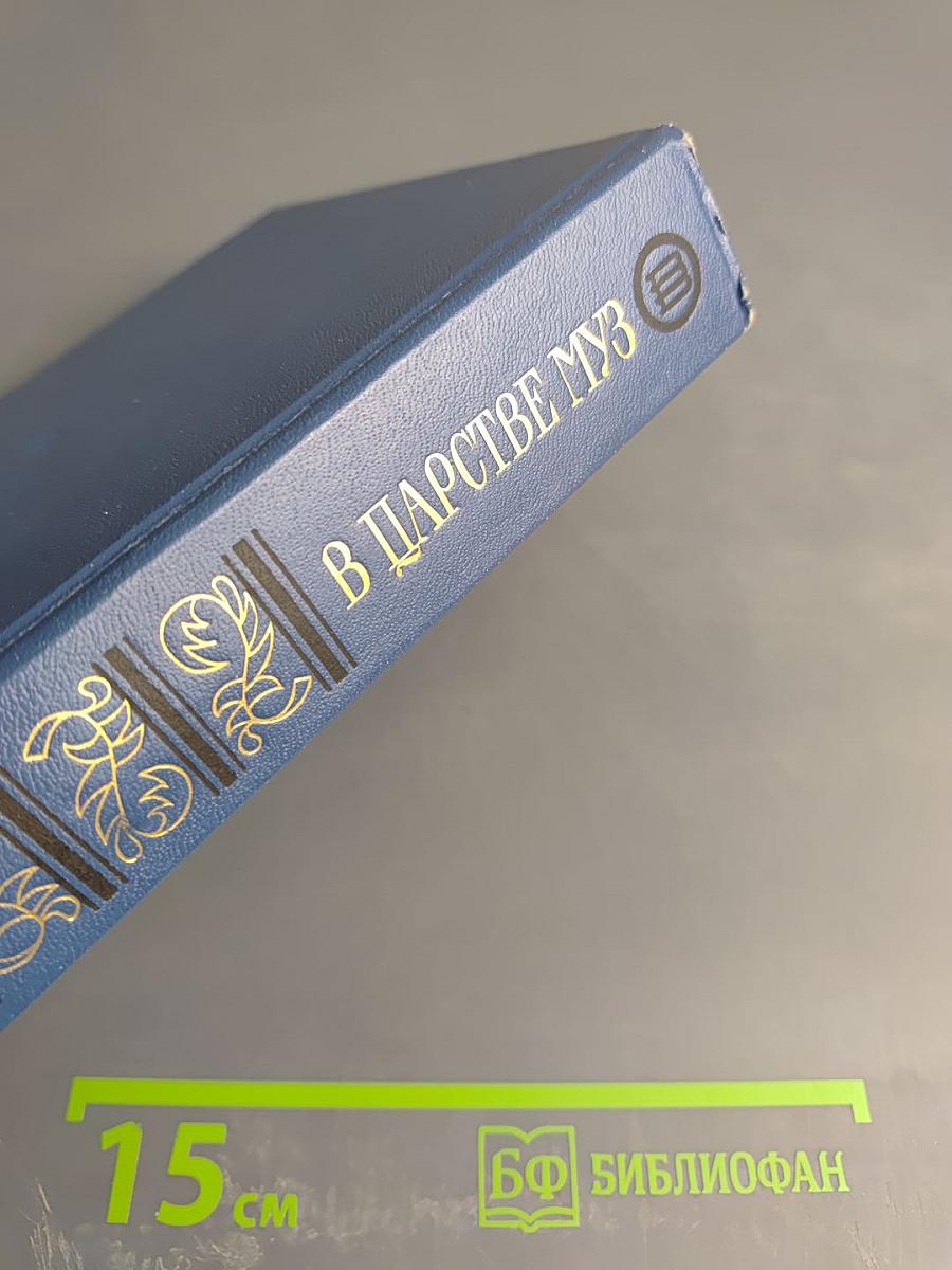 В Царстве Муз: Московский литературный салон Зинаиды Волконской 1824-1829 гг.