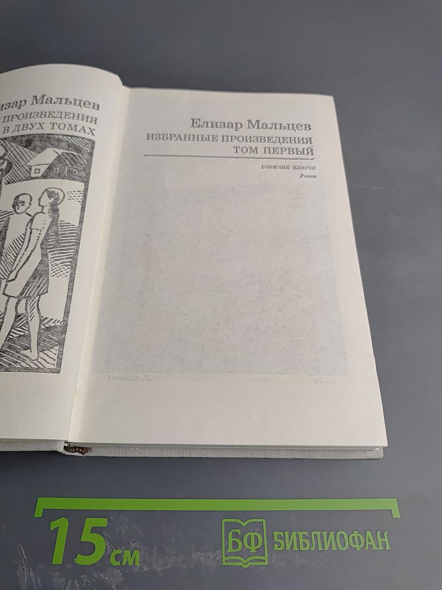 Избранные произведения. Том первый. Горячие ключи