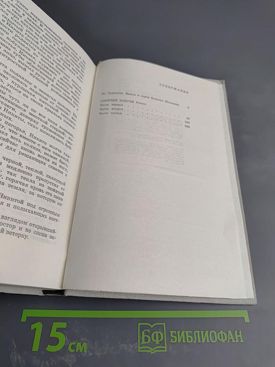 Избранные произведения. Том первый. Горячие ключи