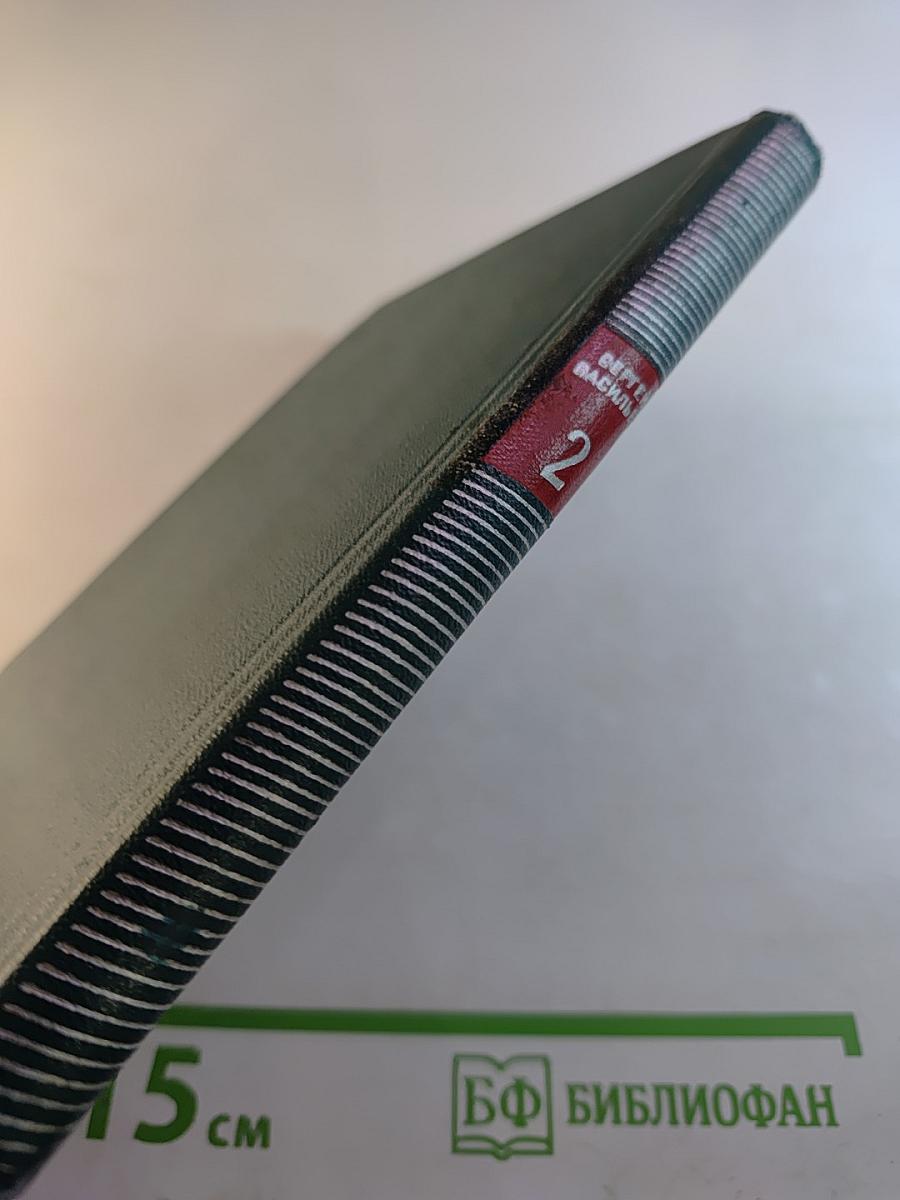 Избранные произведения. Том второй. Поэмы