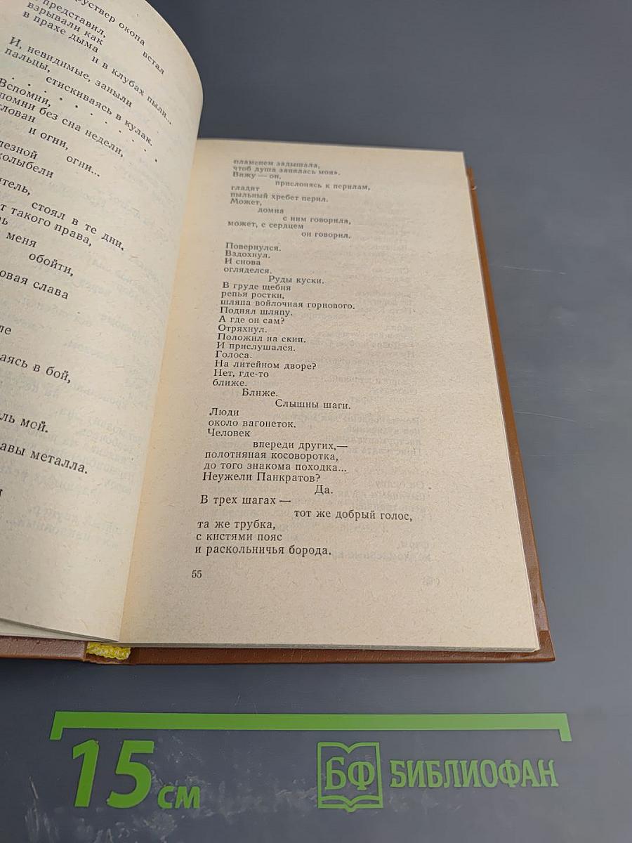 Избранные произведения в двух томах. Том второй. Поэмы