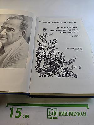 В полдень на солнечной стороне