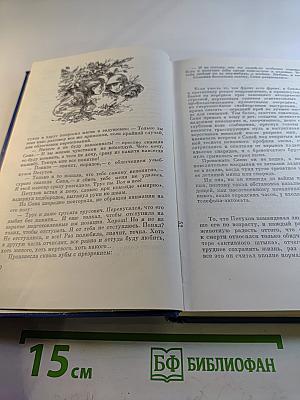 В полдень на солнечной стороне