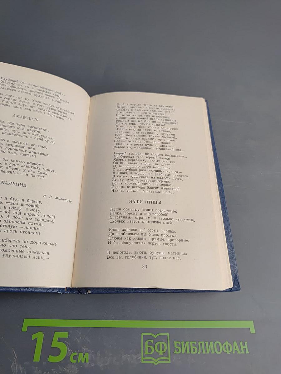 Стихотворения