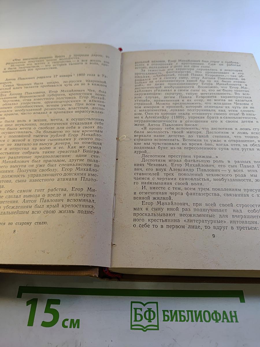 Избранные работы. Том первый. А.П. Чехов. Наш Пушкин