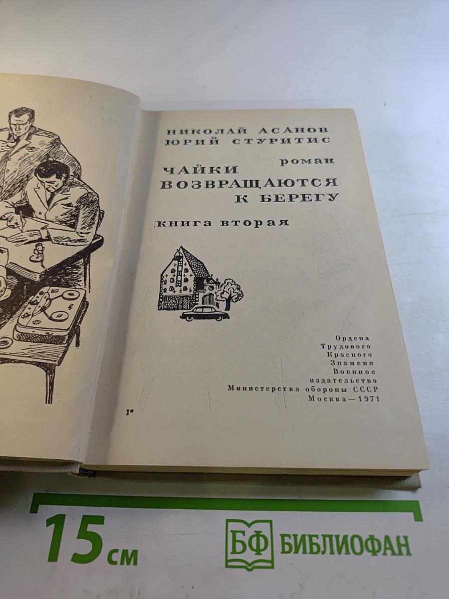 Чайки возвращаются к берегу. Книга вторая