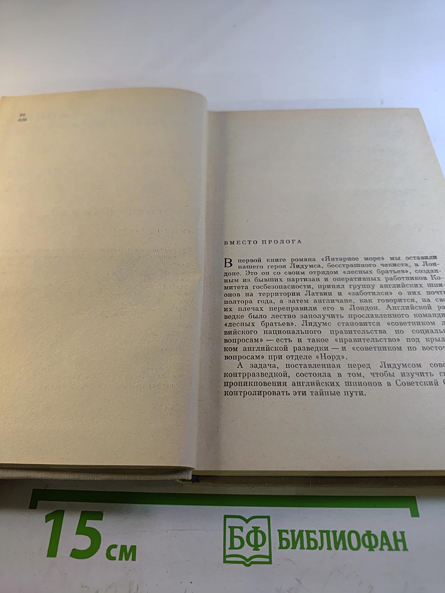 Чайки возвращаются к берегу. Книга вторая