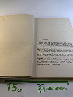 Чайки возвращаются к берегу. Книга вторая