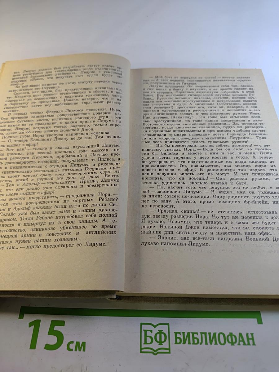 Чайки возвращаются к берегу. Книга вторая