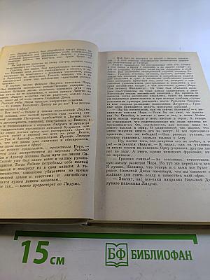 Чайки возвращаются к берегу. Книга вторая