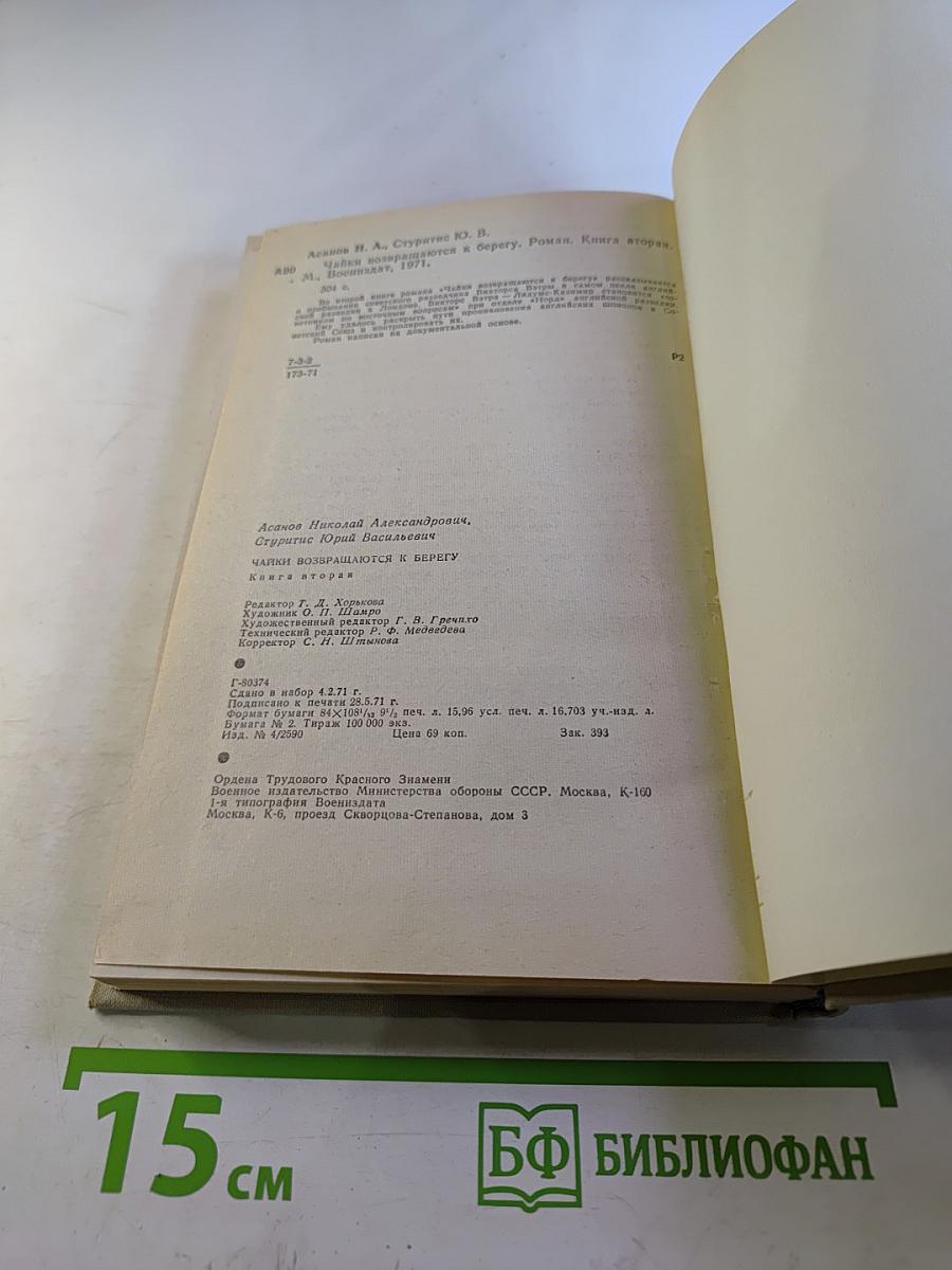 Чайки возвращаются к берегу. Книга вторая