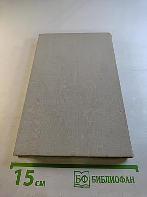 Чайки возвращаются к берегу. Книга вторая