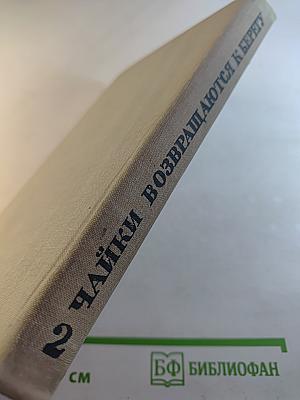 Чайки возвращаются к берегу. Книга вторая