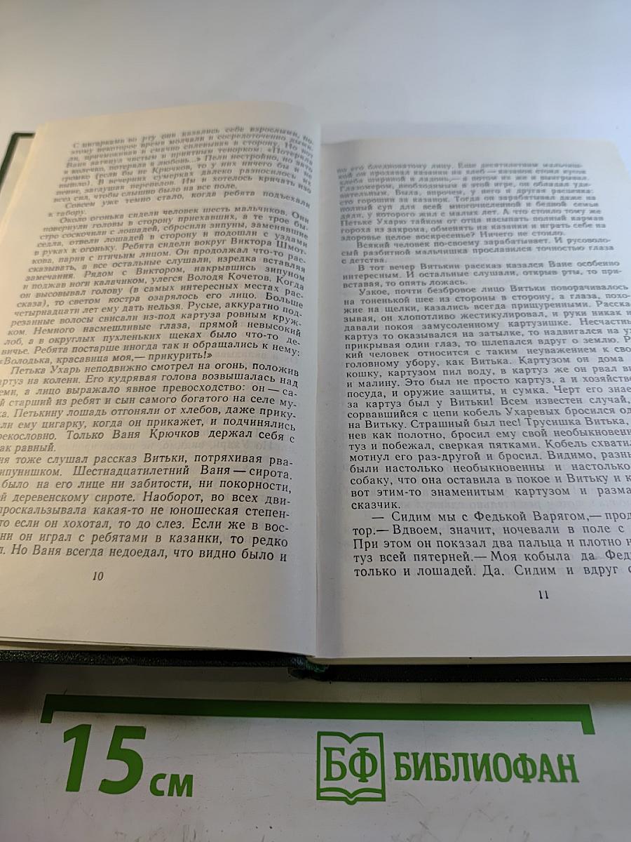 Собрание сочинений в трех томах. Том второй: Роман, Рассказ, Очерки