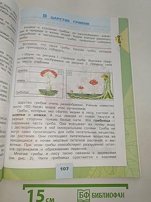 Окружающий мир. 3 класс. Часть 1