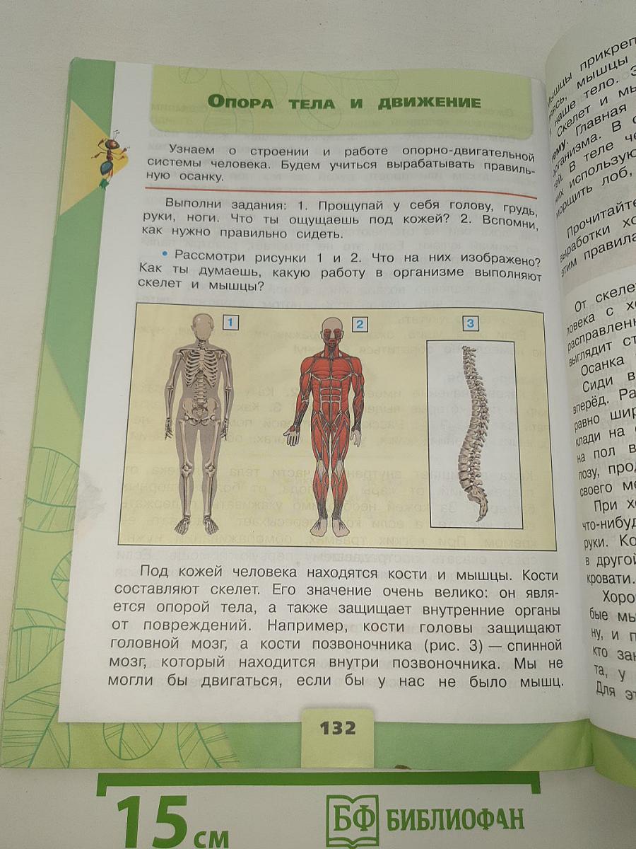 Окружающий мир. 3 класс. Часть 1