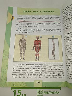 Окружающий мир. 3 класс. Часть 1