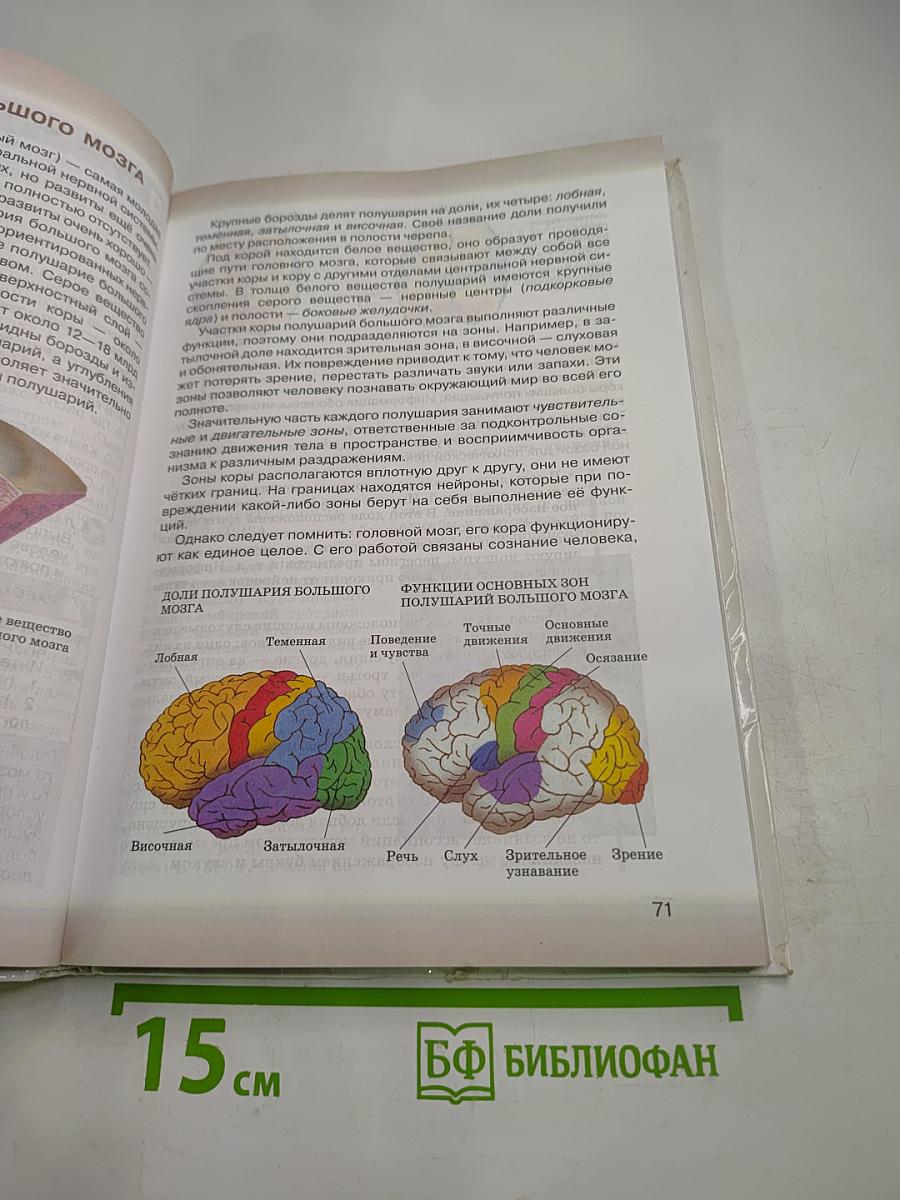 Биология. Человек (8 класс)