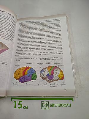 Биология. Человек (8 класс)