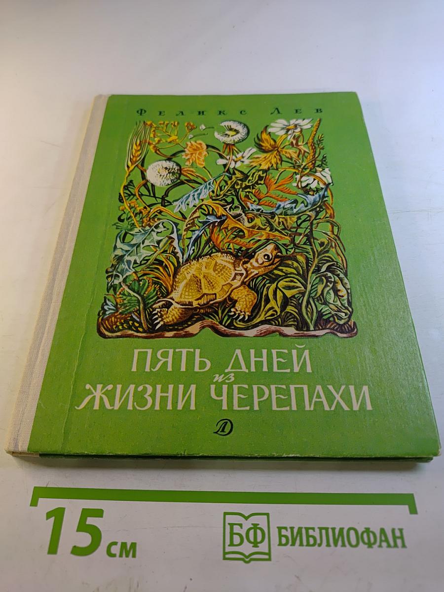 Пять дней из жизни черепахи