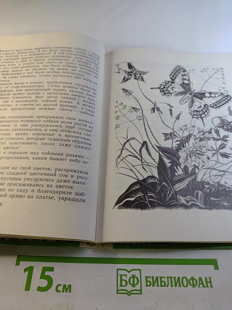 Пять дней из жизни черепахи