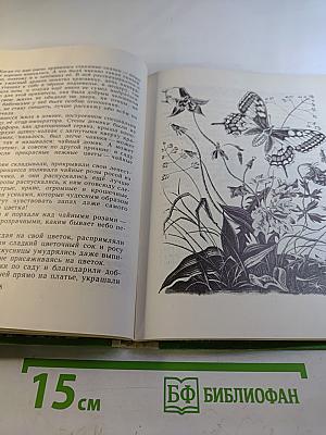 Пять дней из жизни черепахи