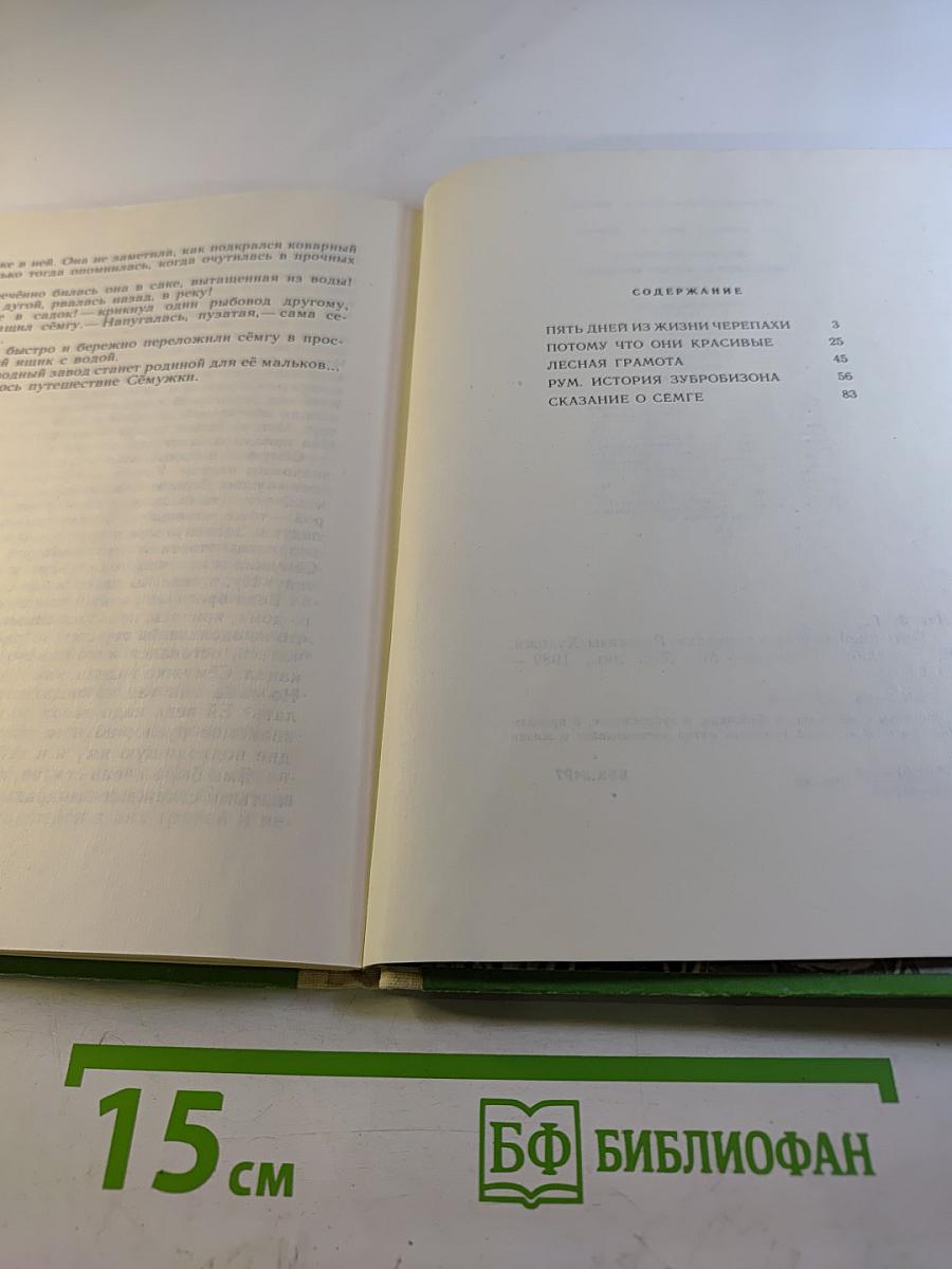 Пять дней из жизни черепахи