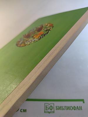 Пять дней из жизни черепахи