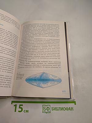 Астрономия 11 класс