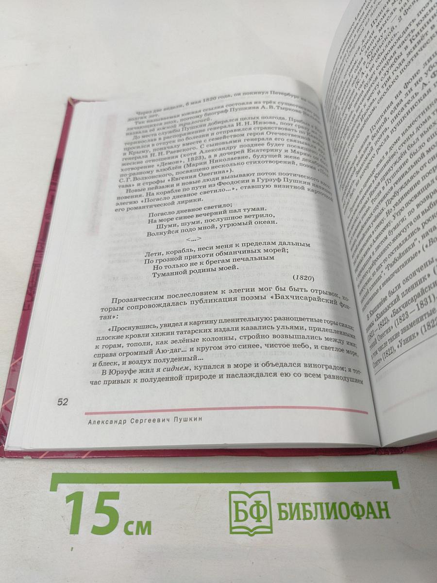 Литература. Учебник для 9 класса. Часть 2